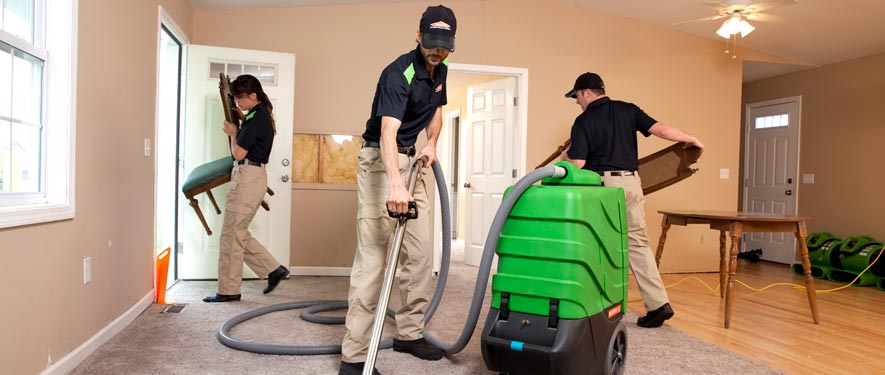 Bay Terrace, NY cleaning services